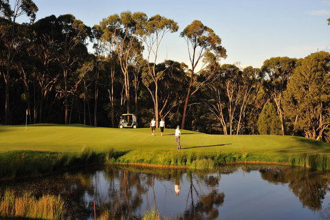 RACV Goldfields Resort - Go Out 31