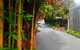 Azen Haven - thumb 14