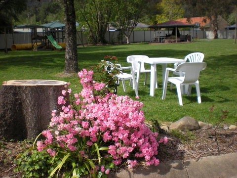 Willow Dene Holiday Apartments - Pubs and Clubs 24