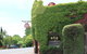 East Street Daylesford - thumb 28
