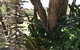 The Fingal Farm - thumb 11