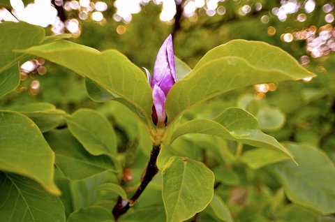 The Glasshouse Boutique Accommodation - Go Out 2