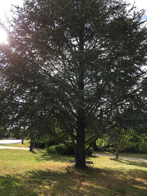 The Glasshouse Boutique Accommodation - Go Out 3