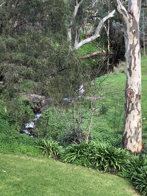The Miners Cottage, Barossa - Pubs and Clubs 0