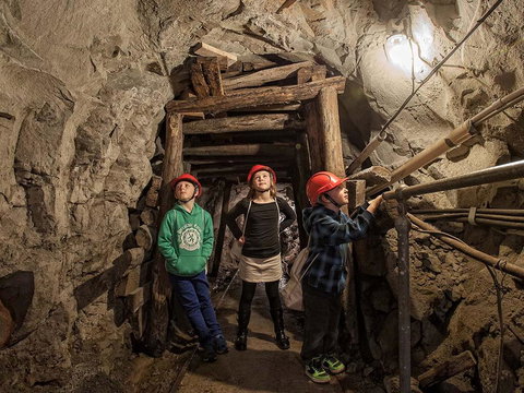 The Robin Hood Inn - Go Out 2