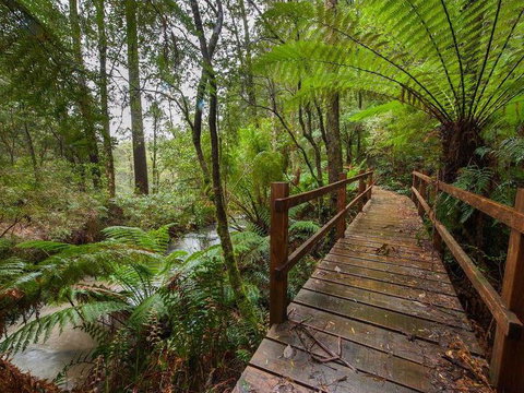 The Source, Otways - Go Out 0