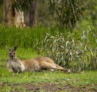 The Stirling Golf Club - Pubs and Clubs