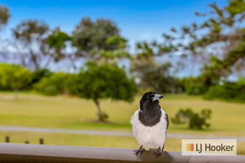 TRADEWINDS 1 - Go Out 1
