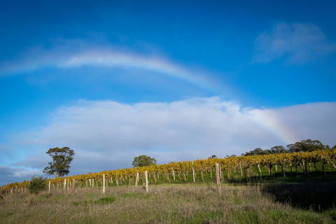 Triple Creek Guest House - Barossa Region - Pubs and Clubs 2