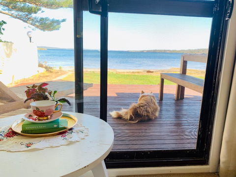 Vandy's Shack At Mount Dutton Bay - Ideal For Couples And Small Families - Pubs and Clubs 3