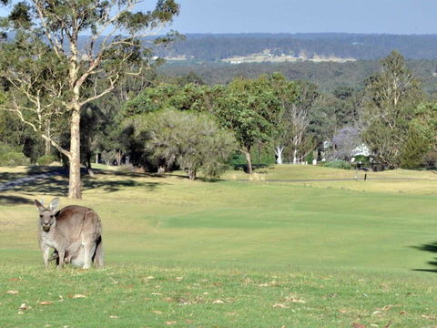 Villa 3br Beaujolais Luxe + Style Resort Condo Located Within Cypress Lakes Resort (nothing Is More Central) - Pubs and Clubs 1