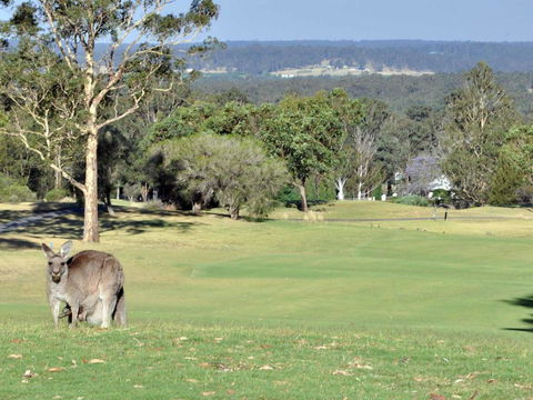 Villas Treinta (Sleeps 30) Resort Condos Located Within Cypress Lakes Resort (nothing Is More Central) - Pubs and Clubs 0