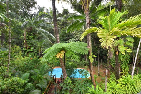 Wait A While Daintree - Pubs and Clubs 3