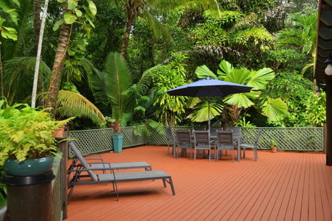 Wait A While Daintree - Pubs and Clubs 2