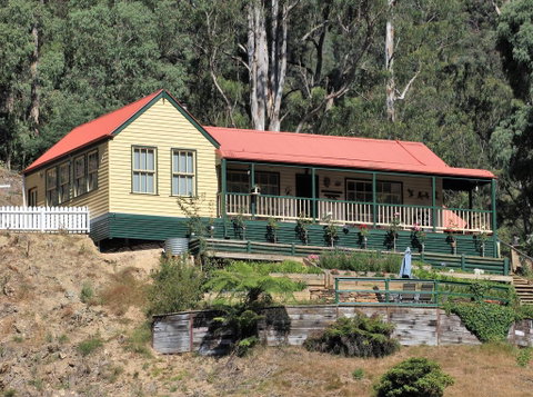 Walhalla Wild Cherry - Pubs and Clubs 0