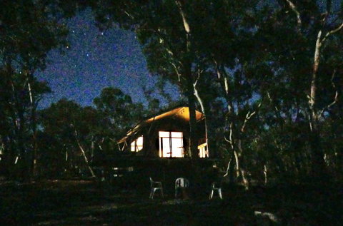 Wallabies Rest - Go Out 2