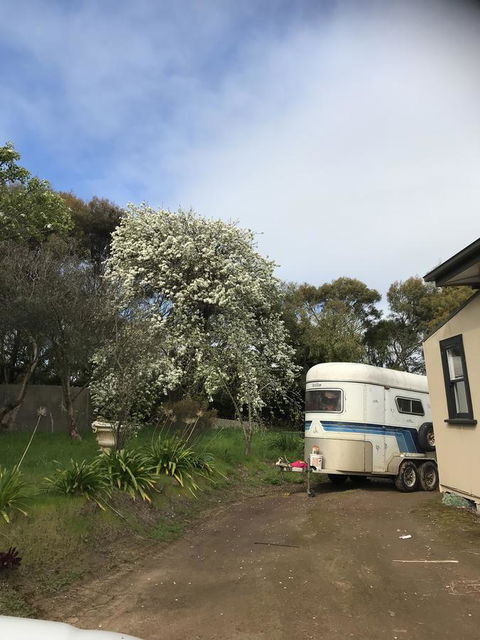 Hillâ€™s Creek Holiday Home - Go Out 6