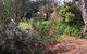 Andrew's On Topaz - thumb 1