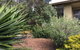 Andrew's On Topaz - thumb 5