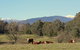 3 Bells Alpine Cottage - thumb 21