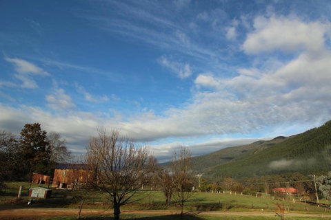 3 Bells Alpine Cottage - Pubs and Clubs 26