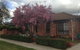 Bricks And Roses - thumb 1