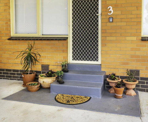 Bacchus Centro - Go Out 8