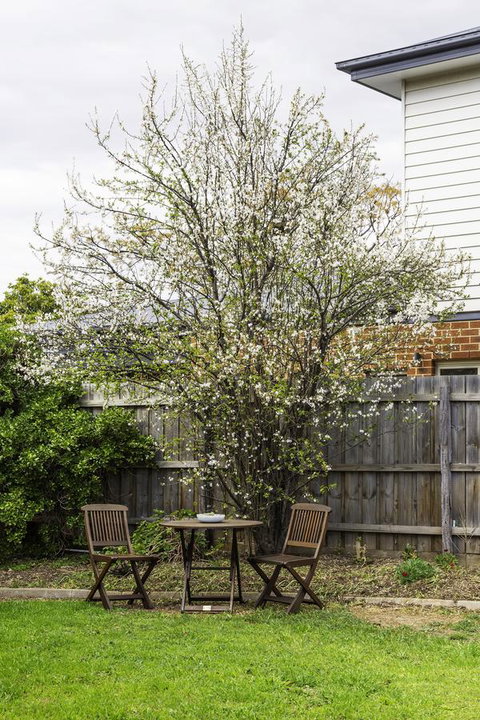 Bacchus Centro - Go Out 9