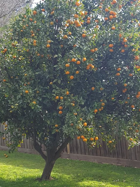 Juliet House - Pubs and Clubs 21