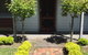 Airleigh-Rose Cottage - thumb 3