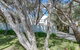 Perfect Blairgowrie Beach House - thumb 16
