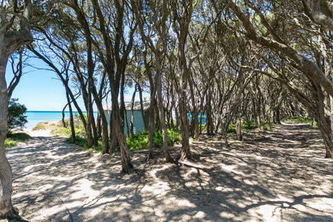 Perfect Blairgowrie Beach House - Go Out 17