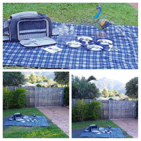 The Peacocks Nest - Go Out 34