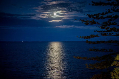 The Sebel Brisbane Margate Beach - Pubs and Clubs 31