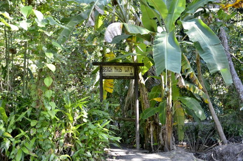 PK\'s Jungle Village - Pubs and Clubs 23