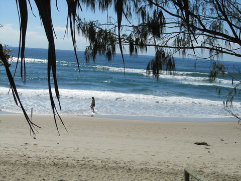 Le Beach Apartments - Pubs and Clubs 16