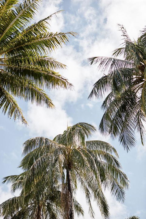 Novotel Cairns Oasis Resort - Go Out 9