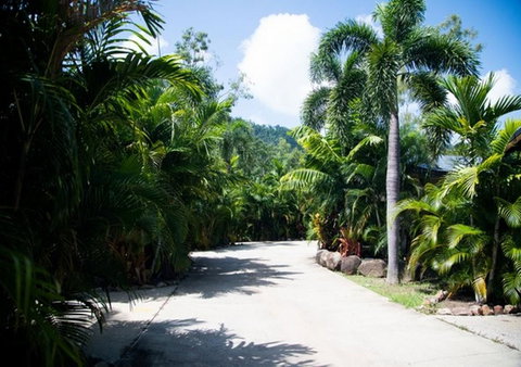 NRMA Airlie Beach Holiday Park - Go Out 17