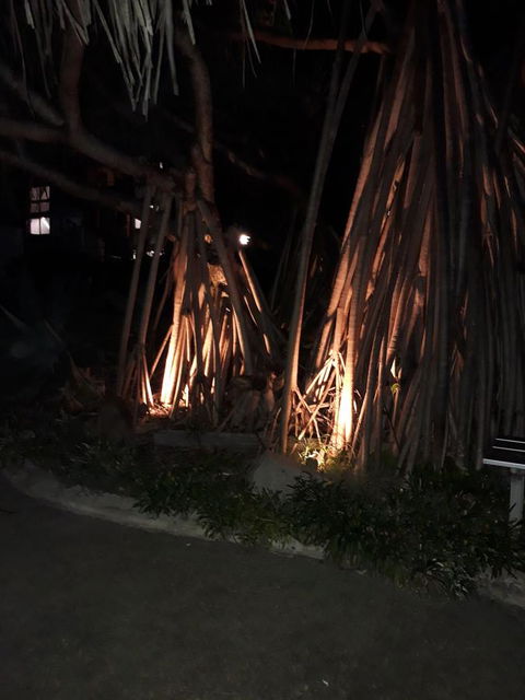 Pandanus Coolum Beach - Pubs and Clubs 10