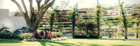 Vine Apartments South Brisbane - Pubs and Clubs 19