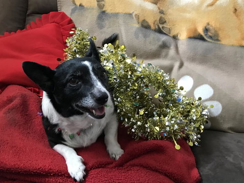 Nanango Star Motel - Go Out 14