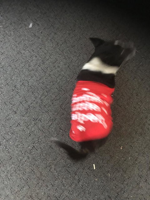 Nanango Star Motel - Go Out 1