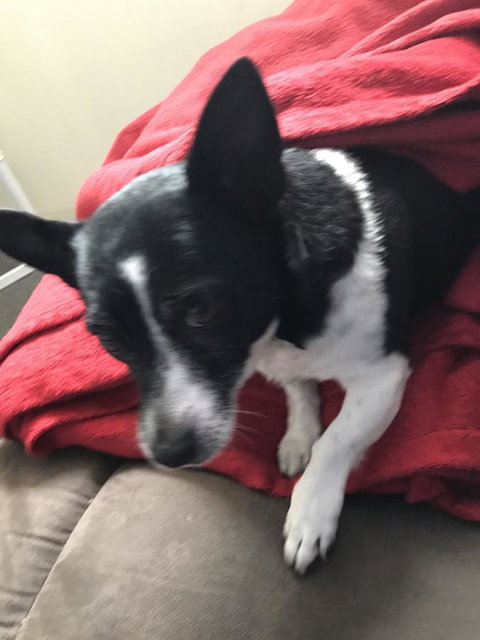 Nanango Star Motel - Go Out 15