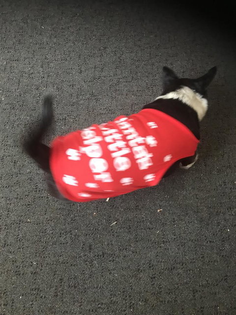 Nanango Star Motel - Go Out 2