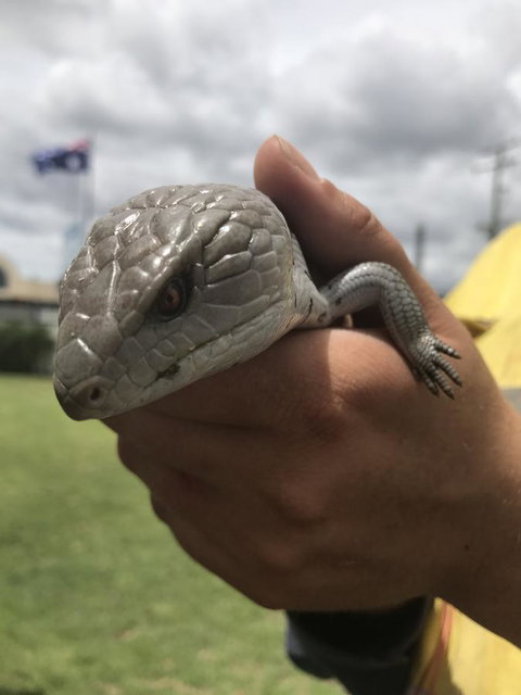 Nanango Star Motel - Go Out 16