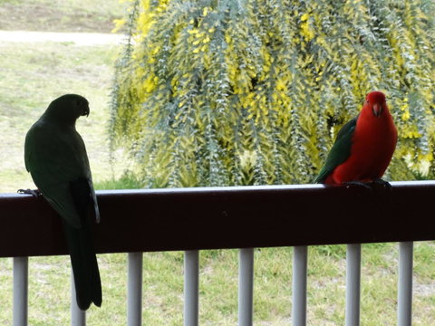 Loughmore House - Go Out 9