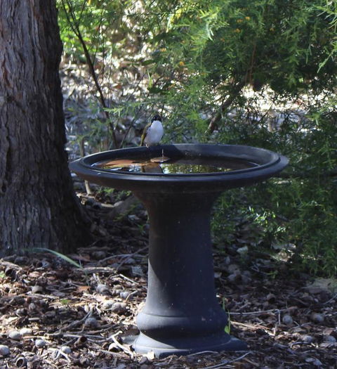 Waterside View - Pubs and Clubs 3