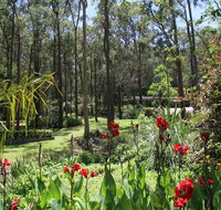 Werekataba - Pubs and Clubs