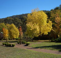 Willowlake Cottages - Pubs and Clubs