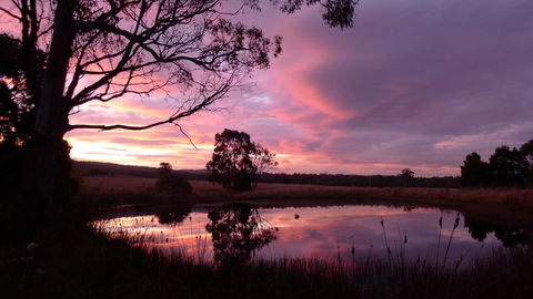 Wind Song Bed & Breakfast - Pubs and Clubs 0